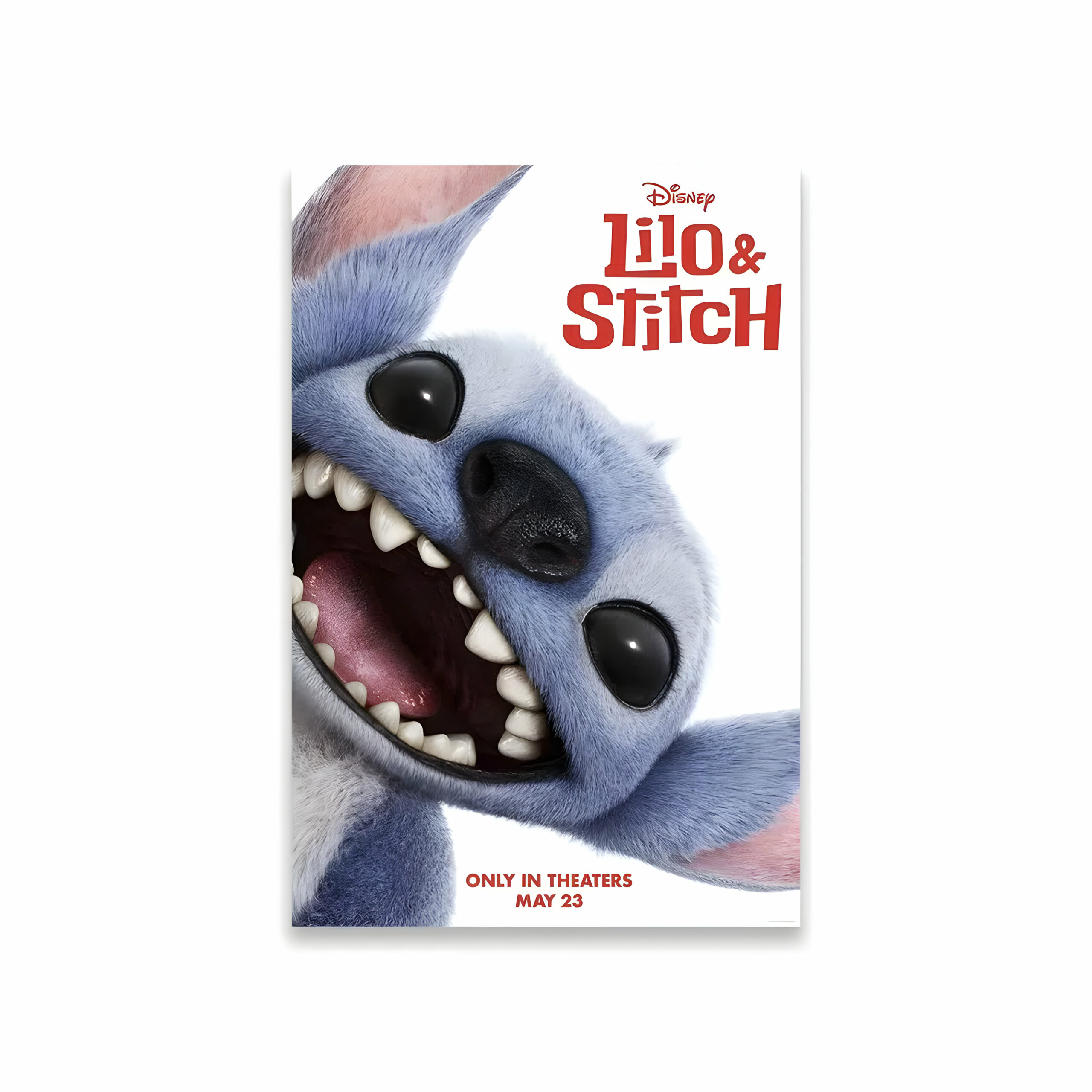 Poster Lilo & Stitch sur canvas – Image 5